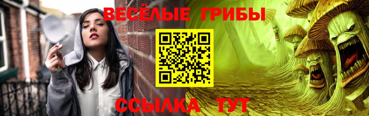Псилоцибиновые грибы Psilocybe Сафоново